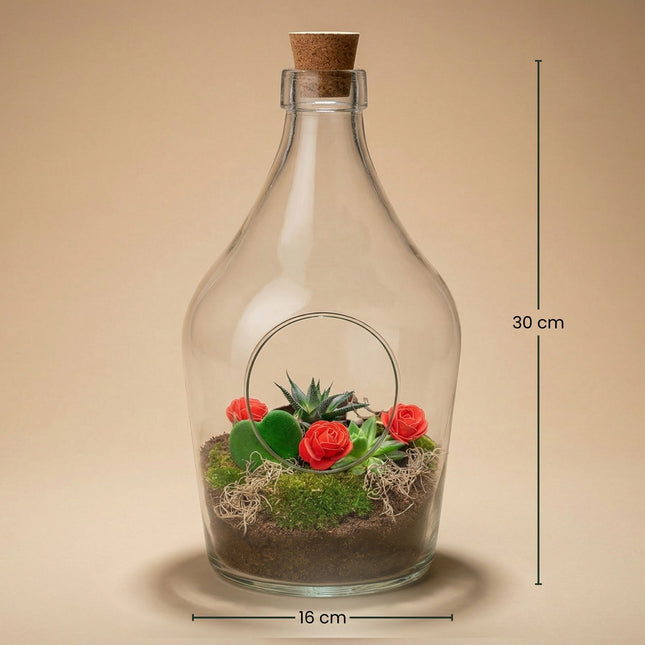 Love in a Bottle - DIY Planten terrarium - Open - Ecosysteem plant - Ø 16 cm ↑ 30 cm - Valentijn cadeau tip!