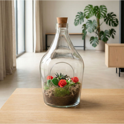 Love in a Bottle - DIY Planten terrarium - Open - Ecosysteem plant - Ø 16 cm ↑ 30 cm - Valentijn cadeau tip!