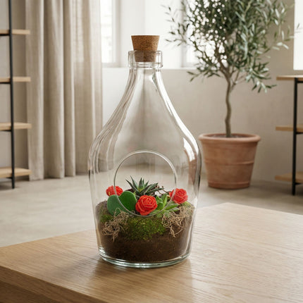 Love in a Bottle - DIY Planten terrarium - Open - Ecosysteem plant - Ø 16 cm ↑ 30 cm - Valentijn cadeau tip!