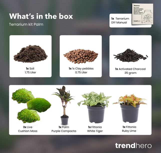 Palm - Terrarium Start- & navulpakket - 3 terrarium planten - DIY
