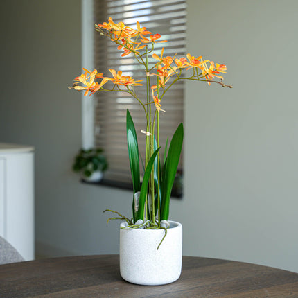 Renanthera orchidee geel/oranje 2 stuks - Bundelproduct - Kunstplanten