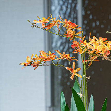 Renanthera orchidee geel/oranje 2 stuks - Bundelproduct - Kunstplanten