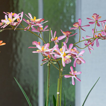 Renanthera orchidee roze 2 stuks - Bundelproduct - Kunstplanten
