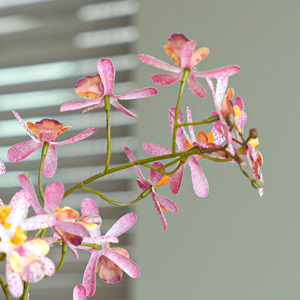 Renanthera orchidee roze 2 stuks - Bundelproduct - Kunstplanten