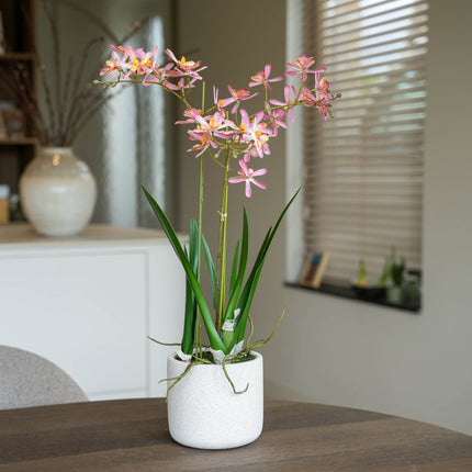 Renanthera orchidee roze 2 stuks - Bundelproduct - Kunstplanten