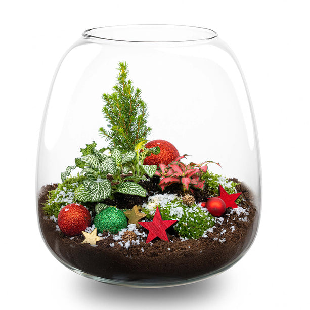 Kerst Terrarium 'Rudolph' - DIY planten terrarium - Ø 23 cm ↑ 25 cm