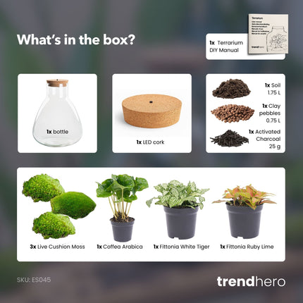 Sam Coffea - DIY Planten terrarium - Ecosysteem plant - Ø 24,5 cm ↑ 30 cm