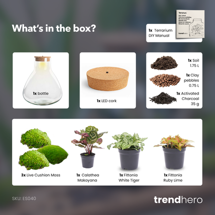 Sam XL Red - DIY Planten terrarium - Ecosysteem plant - Ø 30 cm ↑ 32 cm