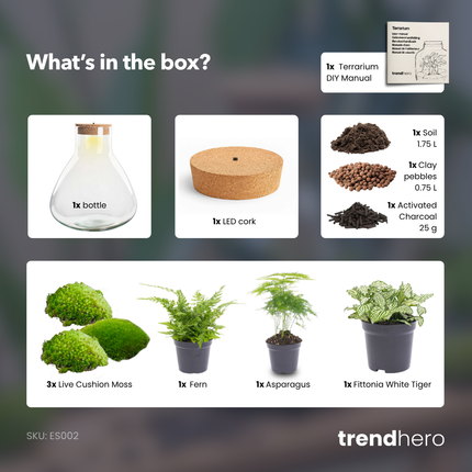 Sam XL Green - DIY Planten terrarium - Terrarium verlichting - Ecosysteem plant - ↑ 32 cm