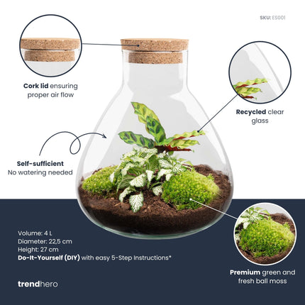 Sammie - DIY Planten terrarium - Ecosysteem plant - Ø 22,5 cm ↑ 27 cm