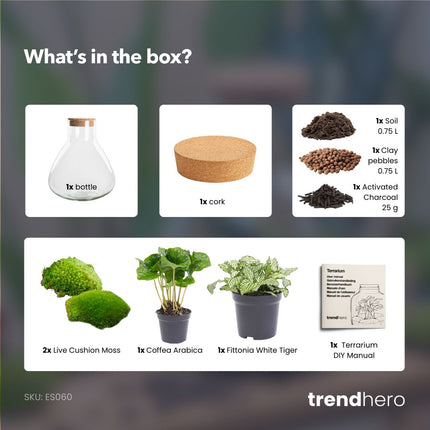 Sammie - DIY Planten terrarium - Ecosysteem plant - Ø 22,5 cm ↑ 27 cm