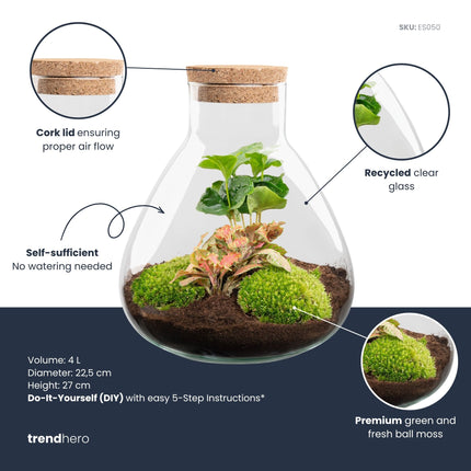 Sammie - DIY Planten terrarium - Ecosysteem plant - Ø 22,5 cm ↑ 27 cm