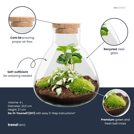 Sammie - DIY Planten terrarium - Ecosysteem plant - Ø 22,5 cm ↑ 27 cm