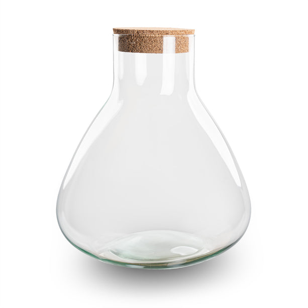 Terrarium fles met kurk - Sammie - Gesloten terrarium ↑ 26,5 cm