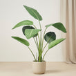 Strelitzia - Kunstplant in zwarte pot - 120 cm