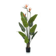 Strelitzia met bloemen - 120cm - In zwarte pot - Kunstplant