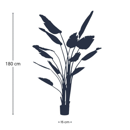 Strelitzia nicolai  - 180 cm - In zwarte pot - Kunstplant