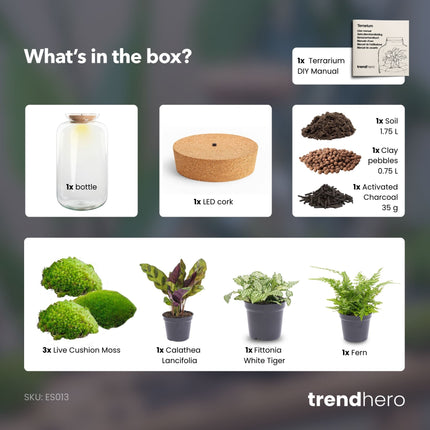 Sven XL Botanisch - Planten terrarium DIY kit - Ecosysteem plant - Ø 23 cm ↑ 43 cm