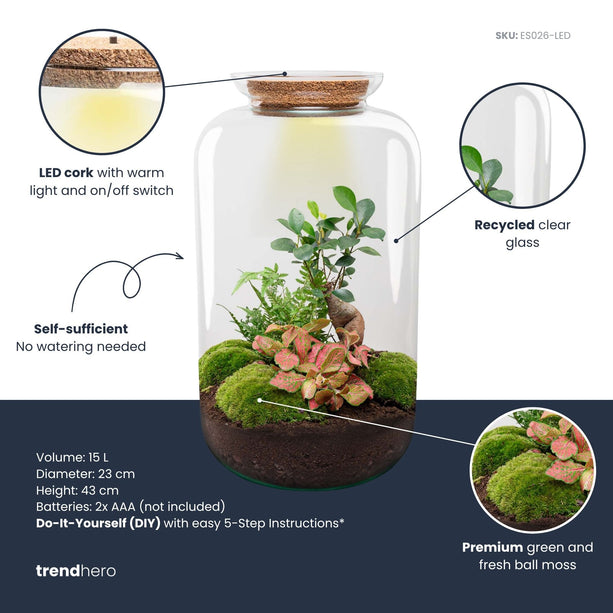 Sven XL Palm - Planten terrarium DIY kit - Ecosysteem plant - Ø 23 cm ↑ 43 cm