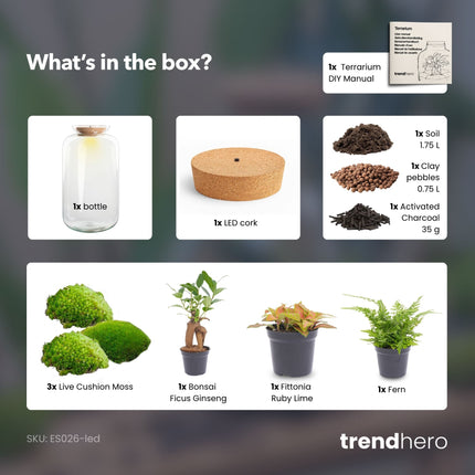 Sven XL Palm - Planten terrarium DIY kit - Ecosysteem plant - Ø 23 cm ↑ 43 cm