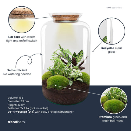 Sven XL Botanisch - Planten terrarium DIY kit - Ecosysteem plant - Ø 23 cm ↑ 43 cm