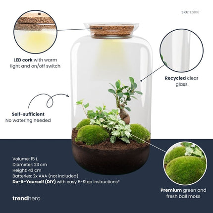 Sven XL Hedera - Planten terrarium DIY kit - Ecosysteem plant - Ø 23 cm ↑ 43 cm