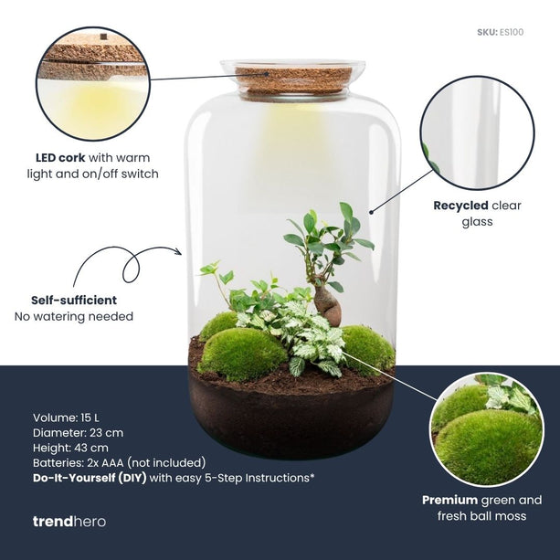 Sven XL Hedera - Planten terrarium DIY kit - Ecosysteem plant - Ø 23 cm ↑ 43 cm