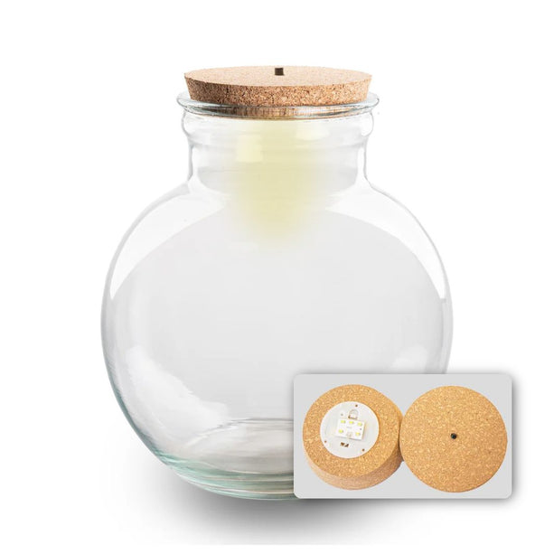 Terrarium fles met kurk - Teddy - Gesloten terrarium ↑ 26.5 cm