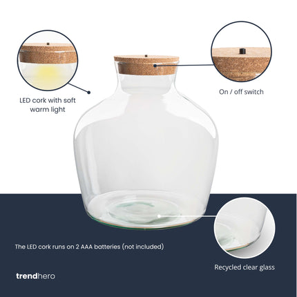 Terrarium fles met kurk - Fat Joe + led kurk - Gesloten terrarium ↑ 30 cm