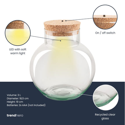 Terrarium fles ‘Noah’ met LED-kurk - Gesloten terrarium Ø 18,5 cm ↑ 19 cm