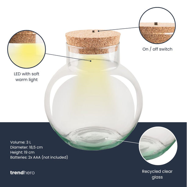 Terrarium fles ‘Noah’ met LED-kurk - Gesloten terrarium Ø 18,5 cm ↑ 19 cm