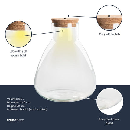 Terrarium fles ‘Sam’ - Incl. LED-kurk - Gesloten terrarium  Ø 24,5 cm ↑ 30 cm