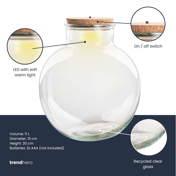 Terrarium fles 'Bolder Bob' - Incl. (LED) kurk - Gesloten terrarium Ø 30 cm ↑ 31 cm