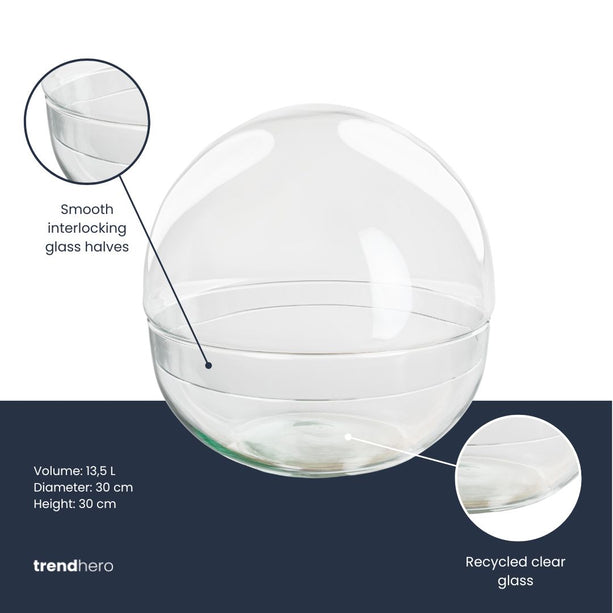 Terrarium fles 'Dome XL' - Tweedelig bolglas - Gesloten terrarium Ø 30 cm ↑ 30 cm