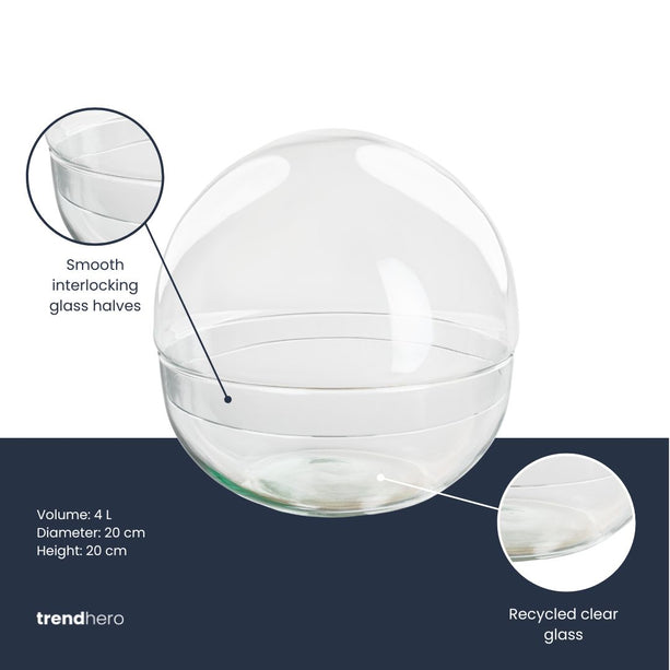 Terrarium fles 'Dome' - Tweedelig bolglas - Gesloten terrarium Ø 20 cm ↑ 20 cm