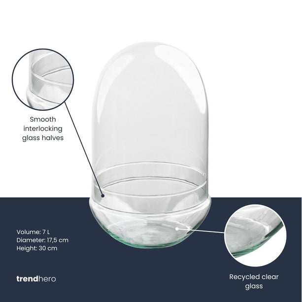 Terrarium fles 'Egg XL' - Tweedelige stolp - Gesloten terrarium Ø 17,5 cm ↑ 30 cm