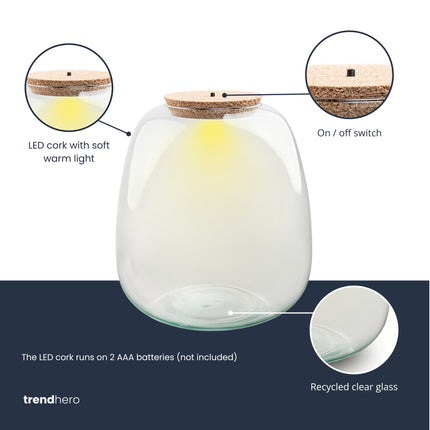 Terrarium fles - Model: Emma + led kurk - ↑ 25cm -  Ø 23 cm