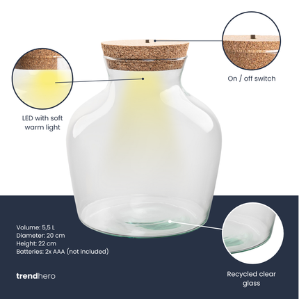 Terrarium fles ‘Little Joe’ - Incl. LED-kurk - Gesloten terrarium Ø 20 cm ↑ 22 cm