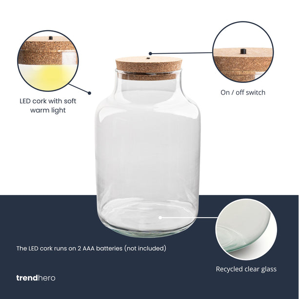 Terrarium fles - Milky - Gesloten terrarium ↑ 30 cm