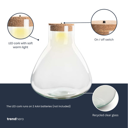 Terrarium fles met verlichting - Sam XL - ↑ 32 cm