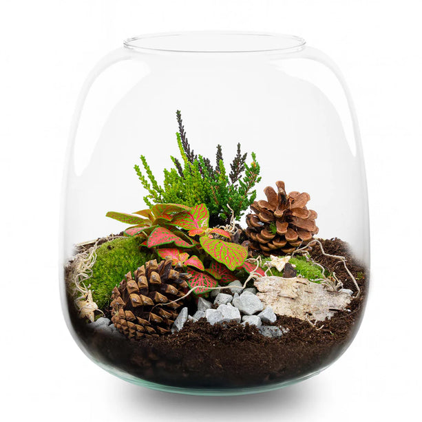 Winter terrarium 'Tinsel' - DIY planten terrarium - Ø 19 cm ↑ 20 cm