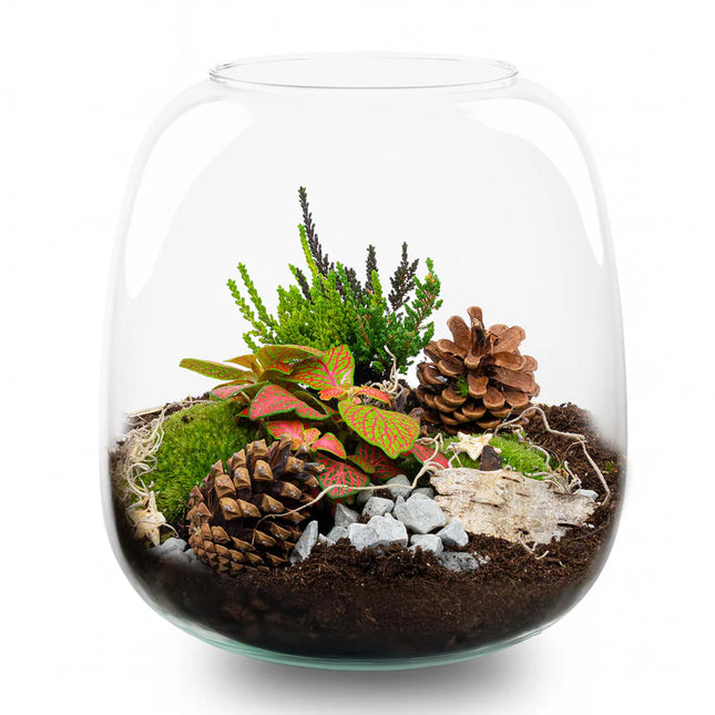 Winter terrarium 'Tinsel' - DIY planten terrarium - Ø 19 cm ↑ 20 cm
