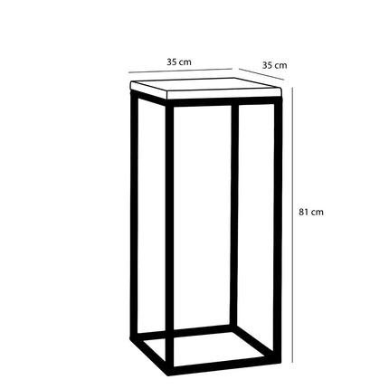 Oskar Plantentafel - L35 x B35 x H81 cm - Hout, Metaal - Zwart