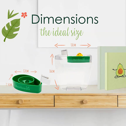 Avocado kit - Groei je eigen avocado!