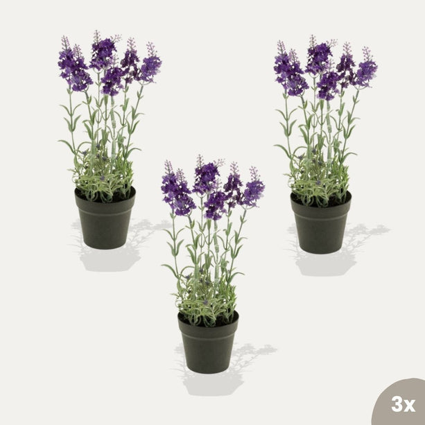 Lavendel 3 stuks - Kunstplanten - Bundelset