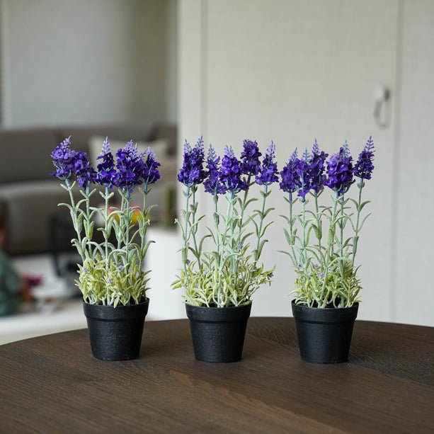 Lavendel 3 stuks - Kunstplanten - Bundelset