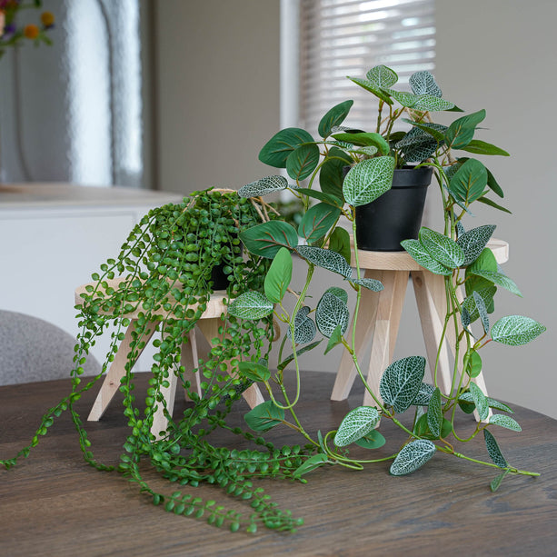 Hangplanten in pot met touw - 2 stuks - Kunstplanten - Bundle set
