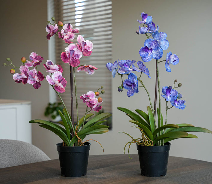 Orchidee Vanda mix - 2 stuks - Kunstplanten - Bundelset