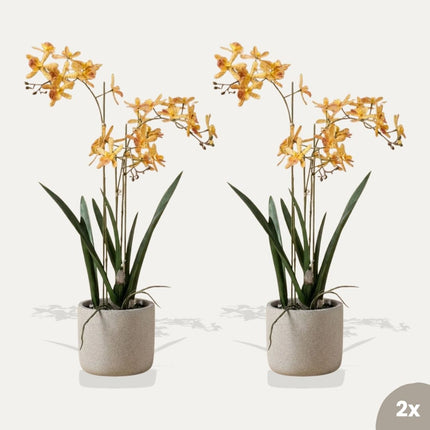 Renanthera orchidee geel/oranje 2 stuks - Bundelproduct - Kunstplanten
