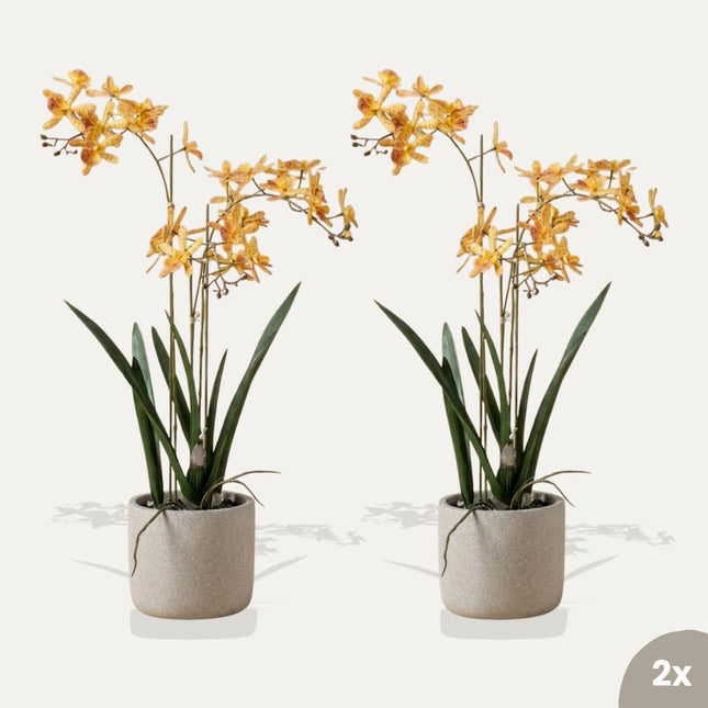 Renanthera orchidee geel/oranje 2 stuks - Bundelproduct - Kunstplanten